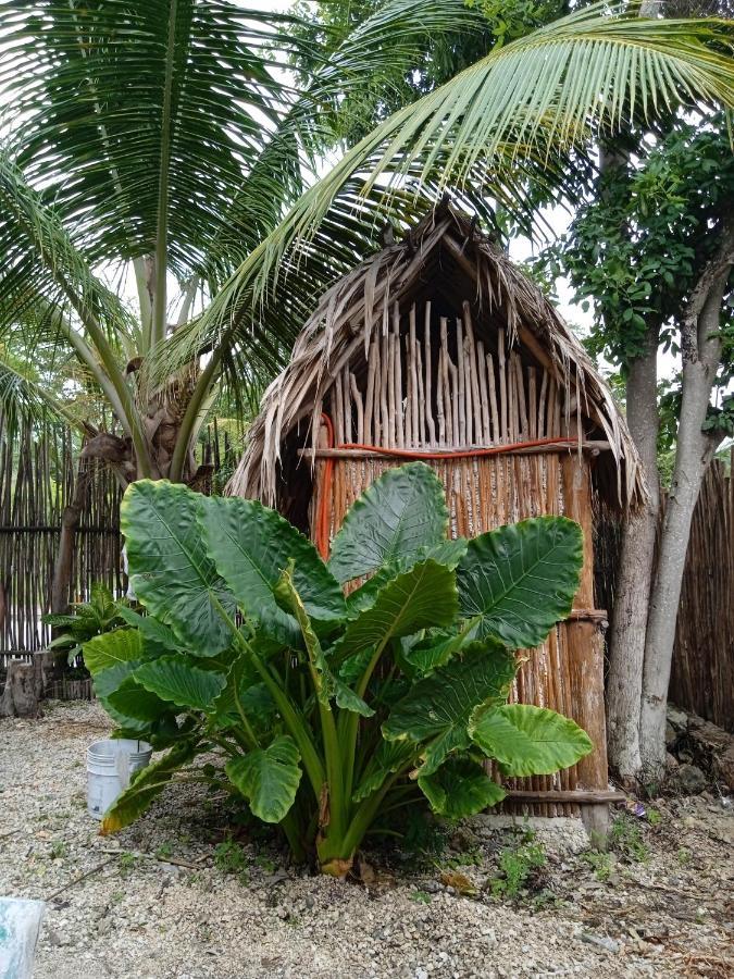 Muelle36 Hostel Bacalar Luaran gambar